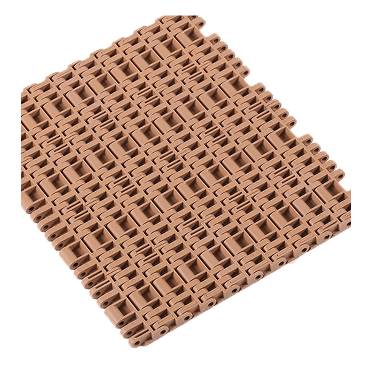 2541 Flat Top Modular Belt — detail view 2