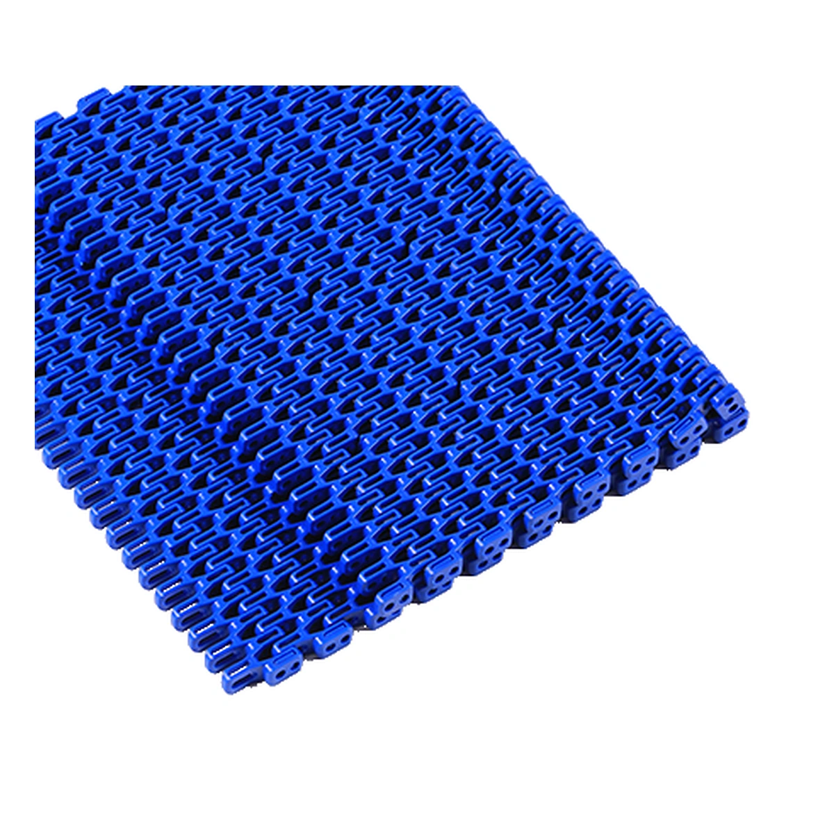 Blue S2542 belt edge with visible module connections